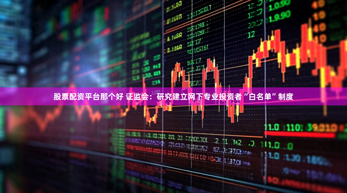 股票配资平台那个好 证监会：研究建立网下专业投资者“白名单”制度