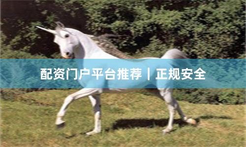 配资门户平台推荐｜正规安全